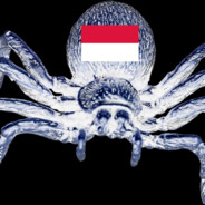 Polished Spider