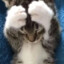 tickso