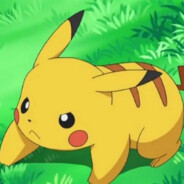Cachu87
