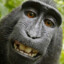 Monke