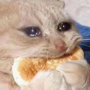 天才？见我的门槛罢了