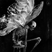 Детектив (я слежу за тобой)