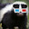 Steam avatar of The Renegadist