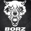 BorZ