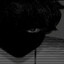 alone's avatar