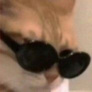 少年何妨梦摘星