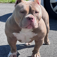 sl - steam id 76561199767796892