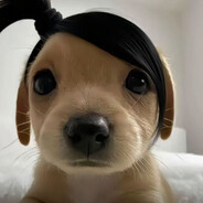 张无忌是大帅哥