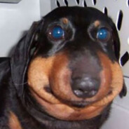 Дилдоносец