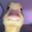 Mattyj