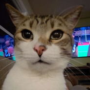 FIGARO