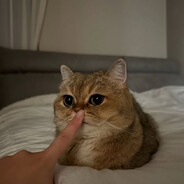 shush's Avatar