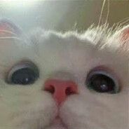 TEALOV3R avatar