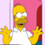 HOMER SIMPSON