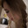 profiles