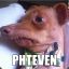 Phteven