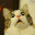 Billu