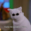 2.BlueBerryPR-