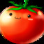 Tomate