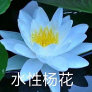 水性杨花