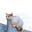 liltokyo avatar