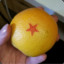 A Soviet Orange