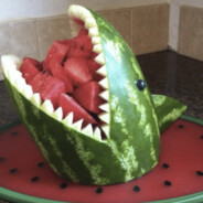 Sharkmelon