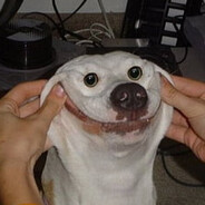 MOONCAKE