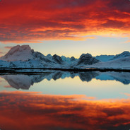 老铁自己人别开枪