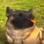 Steam avatar