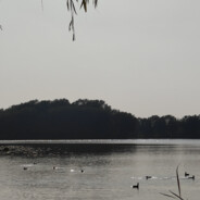 AAA建材批发王哥