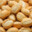 Miolo_de_Pão22