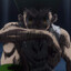 Steam avatar