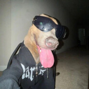 wb монстр 2009