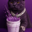 LeanCat