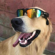Fanhozinho