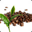 [DW] Coffee Bean