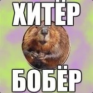 Бобр мем