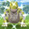 Arua