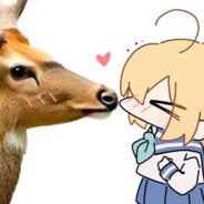 Konohoshy