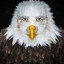 Marvin Beak
