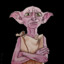 Dobby the Slave