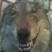 TF Freak's Avatar