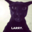 Larry.