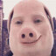 John Pork