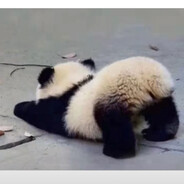 她们都说有点粗