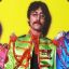 Sgt. Pepper