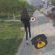 樱花会随风飘落