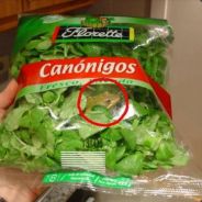 Whisper Brings the lean