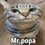 Mr.penis